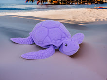 Load image into Gallery viewer, 3D Articulated Sea Turtle