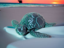 Load image into Gallery viewer, 3D Articulated Sea Turtle