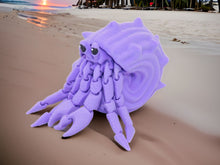 Load image into Gallery viewer, 3D Articulated Hermit Crab + Shell