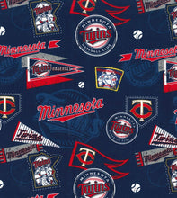 Load image into Gallery viewer, Minnesota Twins Vintage
Mask