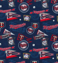 Load image into Gallery viewer, Minnesota Twins Vintage
Mask