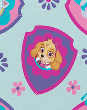 Load image into Gallery viewer, Paw Patrol Pup Power Shield Mask