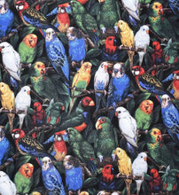Load image into Gallery viewer, Multicolored Parrots Mask