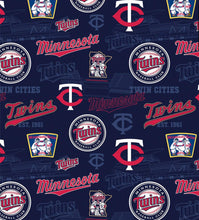 Load image into Gallery viewer, Minnesota Twins Stadium Mask