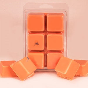 Fruit Slices Soy Wax Tart